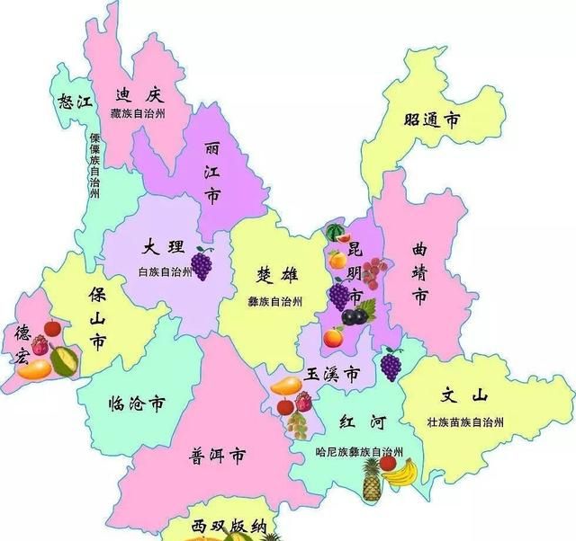 云南特产有哪些,云南的特产有哪些?图16