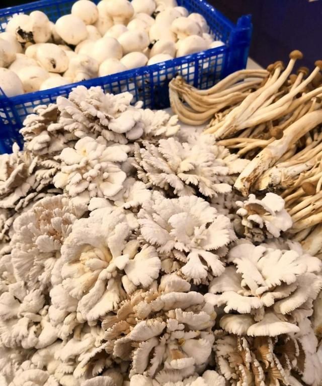 云南特产有哪些,云南的特产有哪些?图15