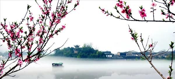 桃花潭在哪个省,桃花潭水深千尺,不及汪伦送我情的桃花指哪里,有急用?图4