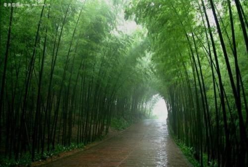 桃花潭在哪个省,桃花潭水深千尺,不及汪伦送我情的桃花指哪里,有急用?图12