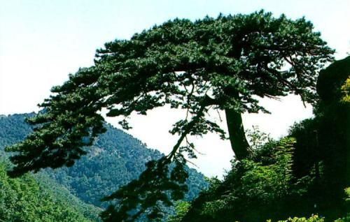 桃花潭在哪个省,桃花潭水深千尺,不及汪伦送我情的桃花指哪里,有急用?图7