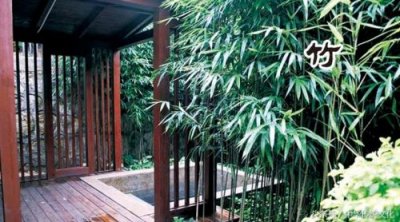 ​岁寒三友是指什么意思？岁寒三友是指什么什么什么