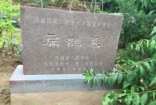 望闻问切是谁发明的,望闻问切是古代名医( )发明的?图5