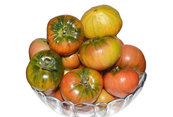 西红柿可以放多久,西红柿可以放多久图6