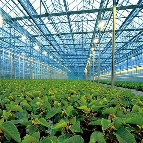 河南温室大棚骨架承建,河南温室大棚造价-第1张图片-