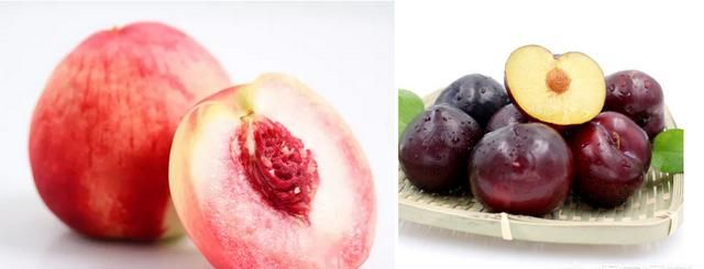 冬季新鲜水果有哪些,冬季产的水果有哪些?图9