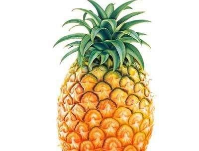 冬季新鲜水果有哪些,冬季产的水果有哪些?图5