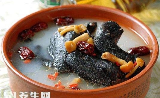 老母鸡汤是发物的食物吗