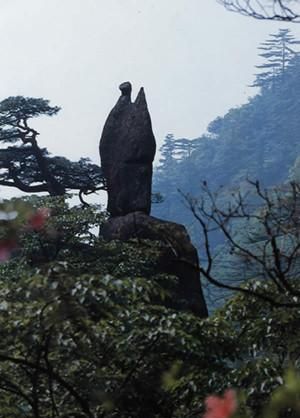 黄山奇石的天狗望月和仙女弹琴的图片