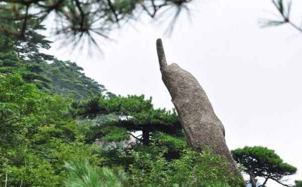 黄山奇石图片仙女弹琴,黄山奇石除了天狗望月狮子抢球仙女弹琴还有什么图2