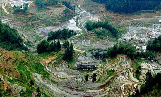 龙脊梯田在广西哪个县,梯田在哪里图6