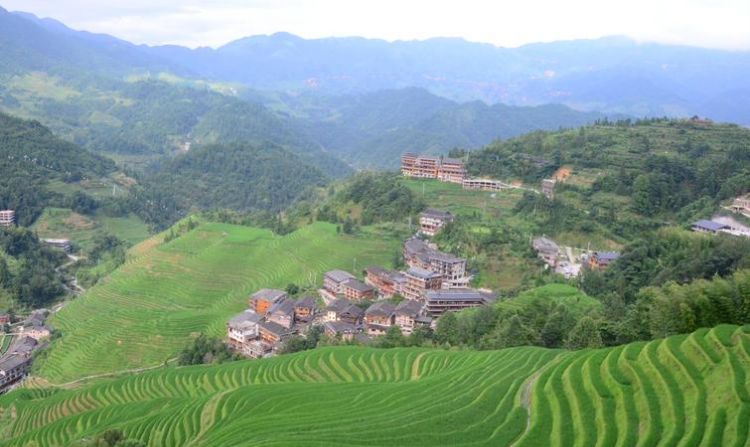 龙脊梯田在哪里