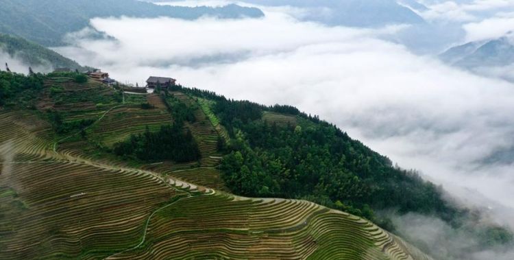 龙脊梯田距离桂林多远