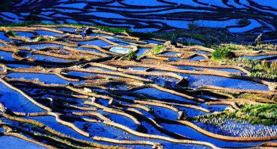 龙脊梯田在广西哪个县,梯田在哪里图4