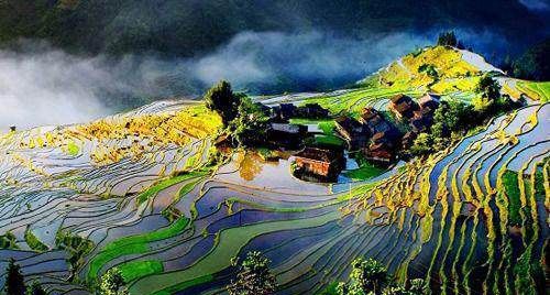 龙脊梯田在广西哪个县,梯田在哪里图5