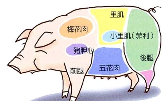 猪梅花肉怎么做好吃,梅花肉怎么做最好吃?图2