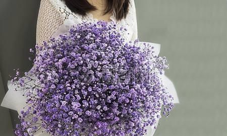 满天星花语,不同颜色的满天星花语是什么?图2