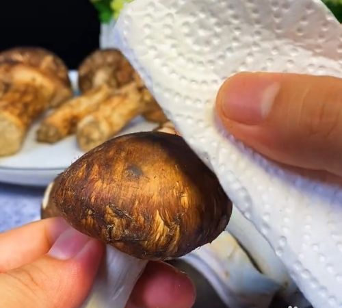 松茸为什么不能碰水