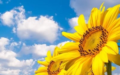 一句话介绍自己,最近越来越自卑了怎么办?觉得自己一无是处,特别是做人方面