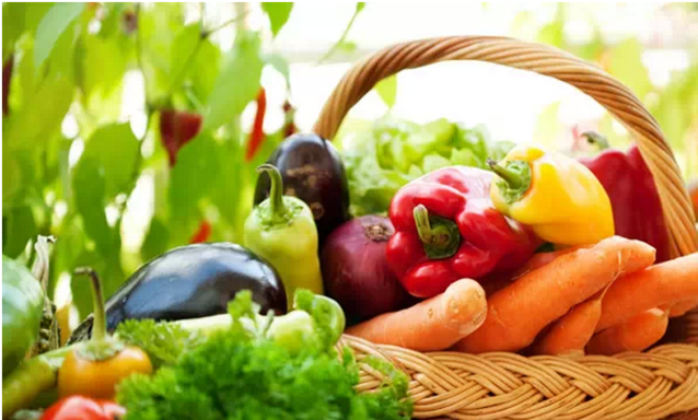 有机蔬菜种类有什么