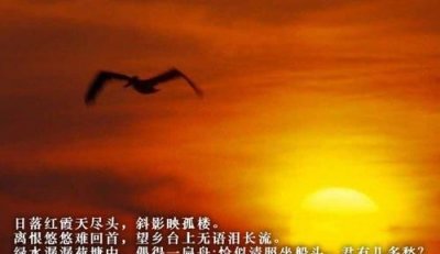 悼念刚离去的亲人句子,悼念远方逝去亲人的句子?