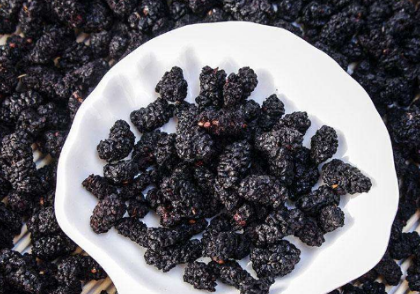 干桑葚黄酒比例,一斤桑葚干泡多少白酒图5