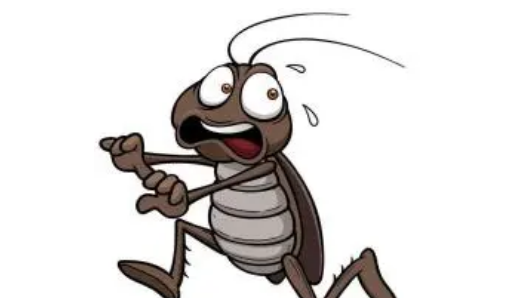 房间里有蟑螂的原因,家里为什么会出现蟑螂图4