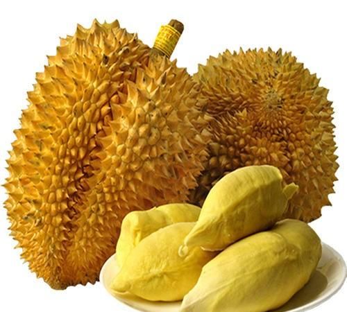 榴莲吃不完怎么保存,榴莲储存条件?图4