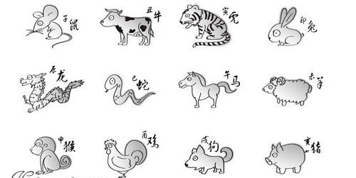 十二生肖禽类有哪些:十二生肖都属于兽各属于哪一类