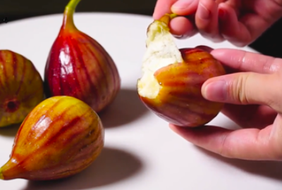 无花果的吃法视频,新鲜无花果怎么吃图4