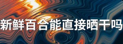 新鲜百合能直接晒干,百合花苞发干为什么呢