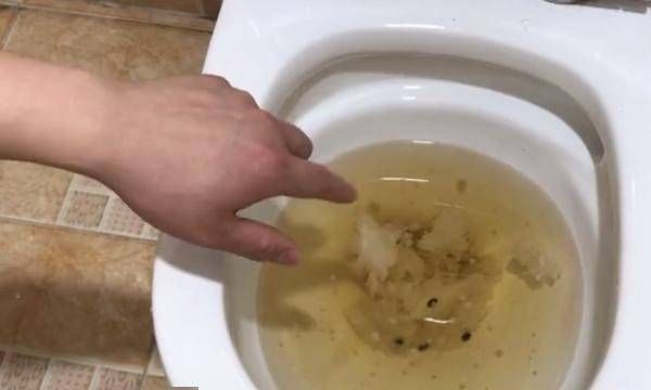 抽水马桶堵了怎么办不小心把钢丝球掉到马桶里了,弄不出来,水也放不下去了急啊~