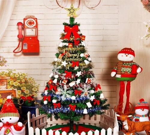 圣诞树是什么树,圣诞树原型是什么树?图3