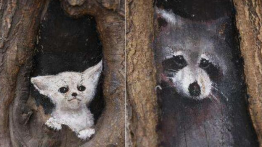 树洞是什么意思,找树洞是什么意思图1