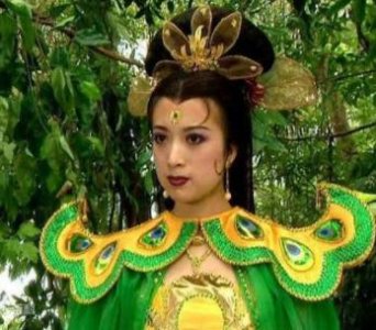 金巧巧的老公是什么人,金巧巧个人资料出道经历