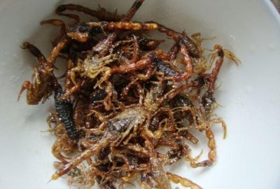 蝎子怎么炸着吃,油炸蝎子怎么做