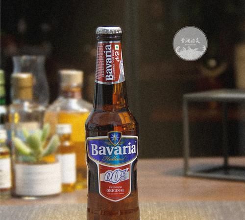 德国巴伐利亚州大学