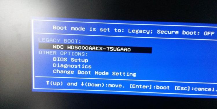 电脑bios启动项设置有哪三类