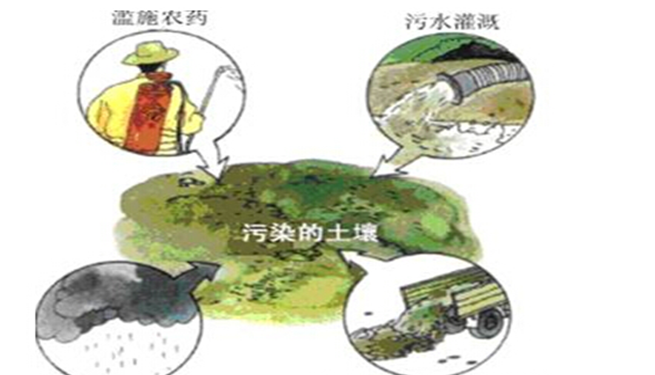 土壤污染有哪些危害?