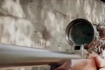 ​狙击精英电影播出顺序