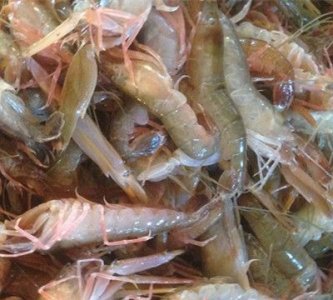 什么是夹板虾,一斤夹板虾有多少?