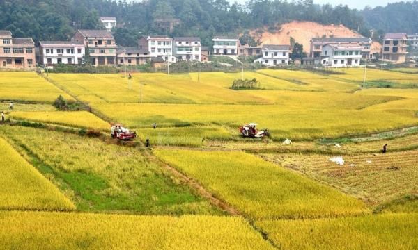 7坪等于多少平方米,日本7坪等于多少平方米图4