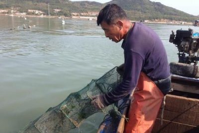 打渔和打鱼区别,三天打渔还是打鱼