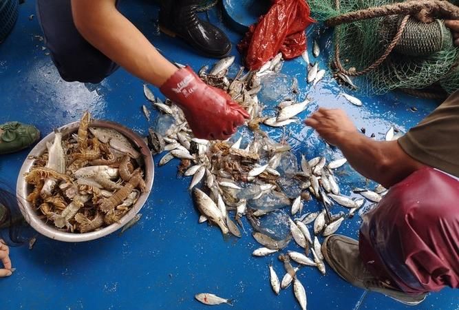 打鱼和打渔的区别,用法一样吗