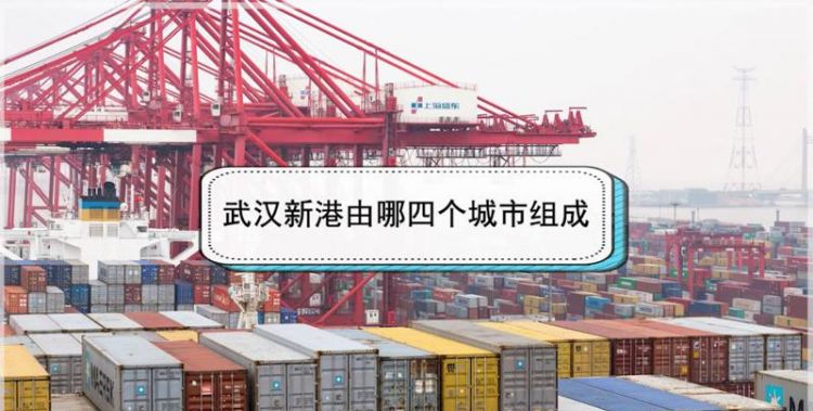 武汉市阳逻开发区的新港天地商铺如何,值得投资吗