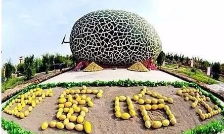 吃哈密瓜上火吗,为什么吃完哈密瓜嘴角和喉咙都会痛?而医生都说不会上火?图8