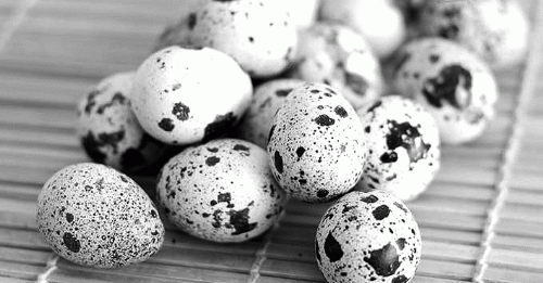 鸡蛋蒸成灰色可以吃吗