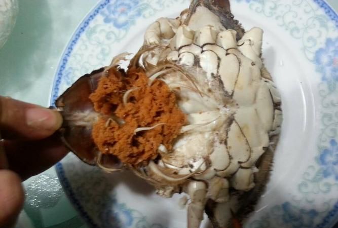 螃蟹里面黄黄的东西是什么