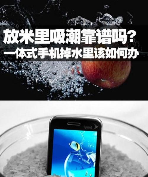 为什么手机进水了要放大米里面去