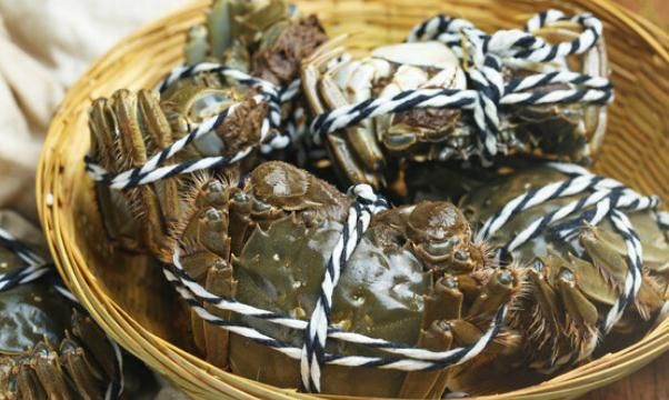 螃蟹可以带上高铁吗